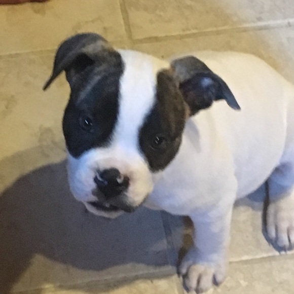 Meet your Posher, Melissa - Picture 1 of 1